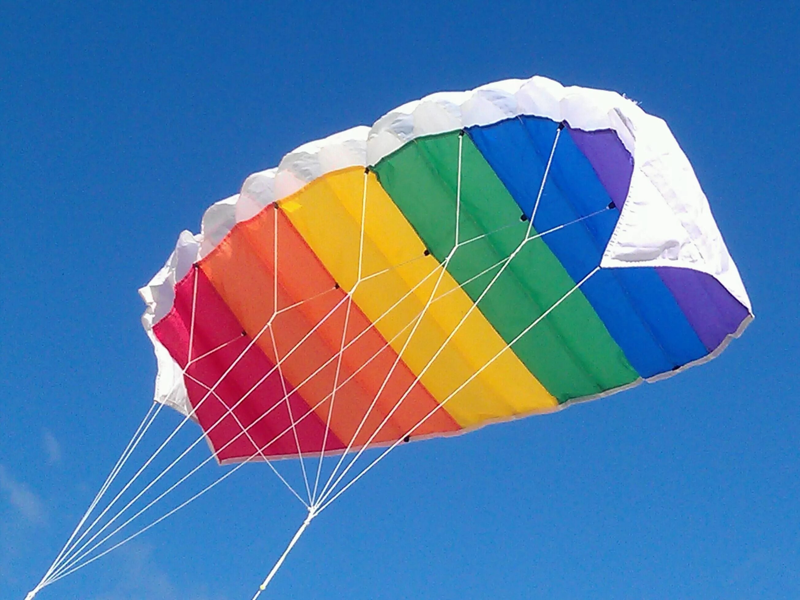 Go kite flying