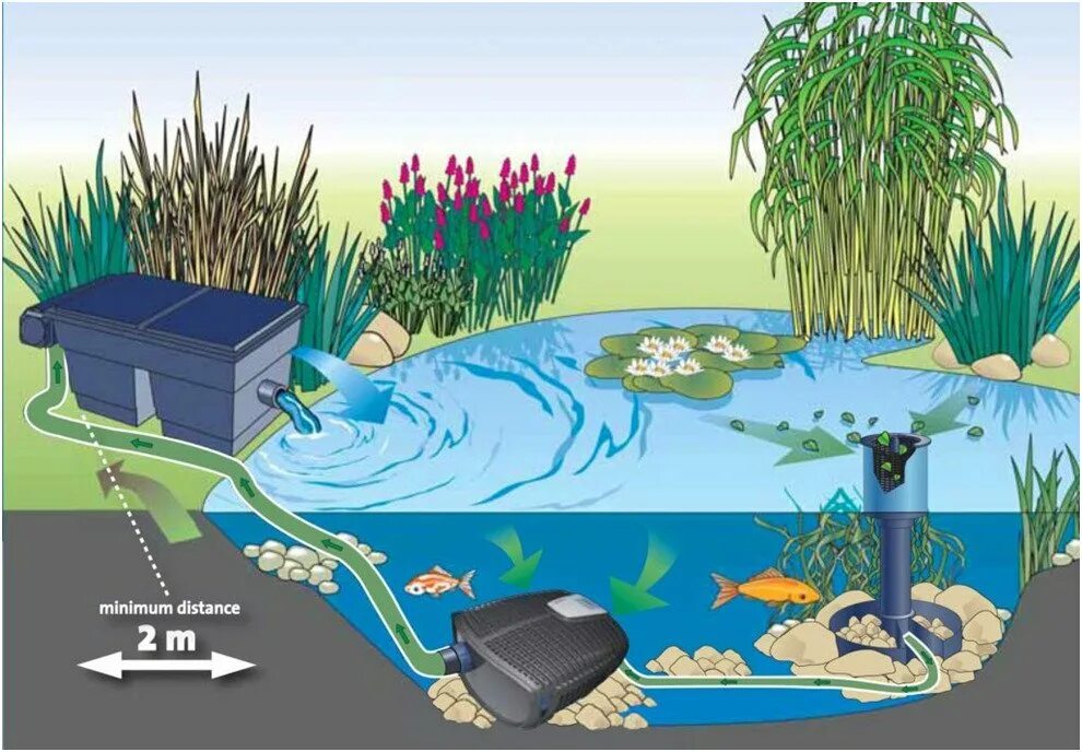 Участка водные поверхности и природный. Очистка водоемов скиммер. Горизонтальные инфильтрационные биоплато. Растения для биоплато для пруда. Фильтр для искусственного водоема.