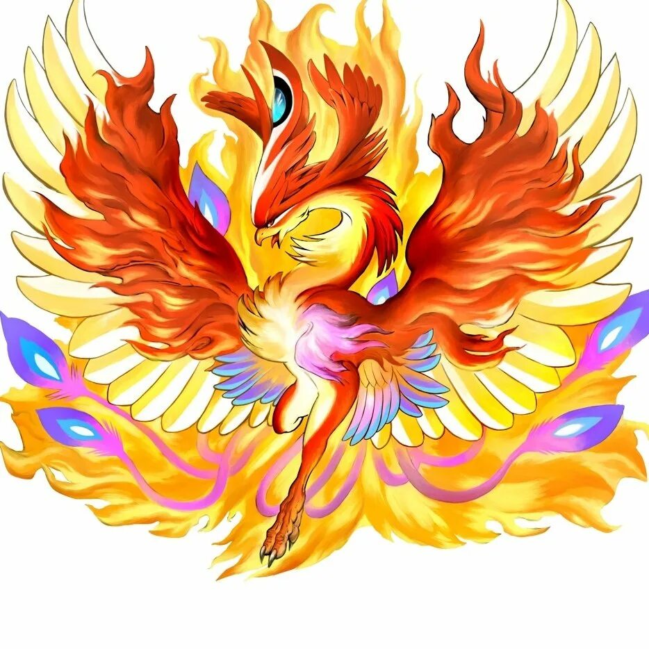 Рисунки жар. Двуглавый Феникс. Братнино Феникс. Жар птица Феникс. Firebird Жар птица.