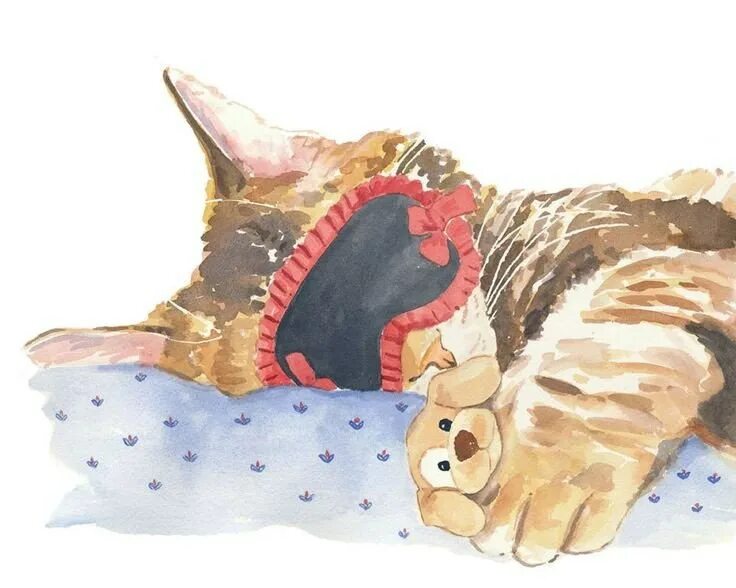 Cat nap art