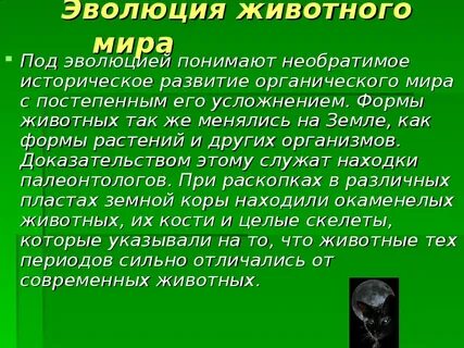 История эволюции презентация
