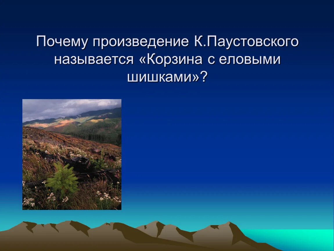 Сравнение в рассказе еловые шишки. Корзина с еловыми шишками Паустовский. Произведение корзина с еловыми шишками. Рассказ Паустовского корзина с еловыми шишками. Почему рассказ назван корзина с еловыми шишками.