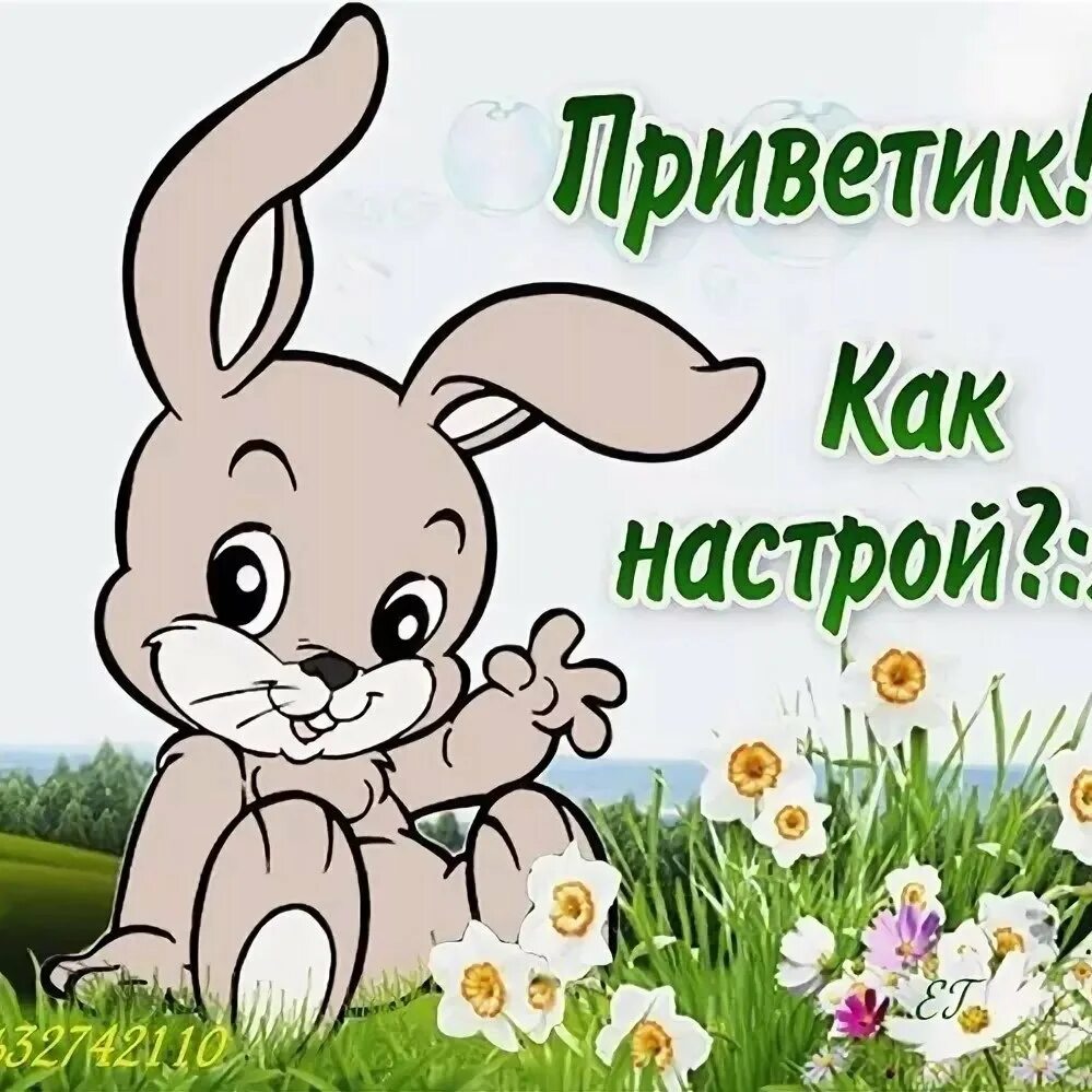 Какие там открытки