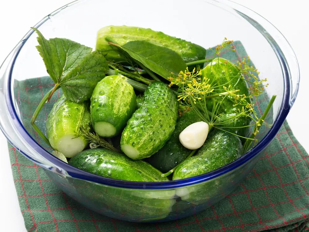 Малосольные огурцы холодным способом. Малосольные огурцы. Малосольные огурчики в рассоле. Свежепросоленные огурчики. Водный огурец.