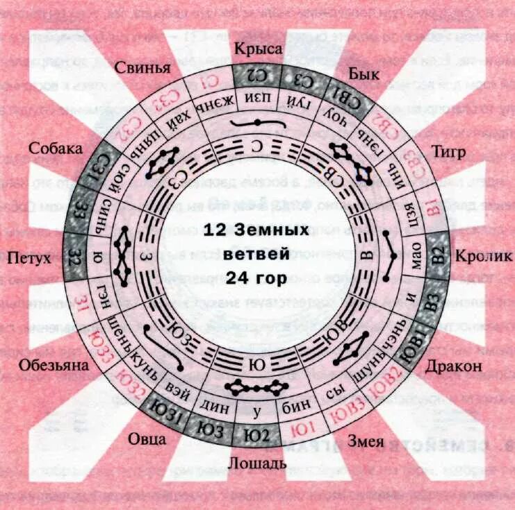 Звезды фен шуй 2024. Фен шуй. Животные по направлениям феншуй. Компасные направления фен шуй. Зверьки по секторам в феншуй.