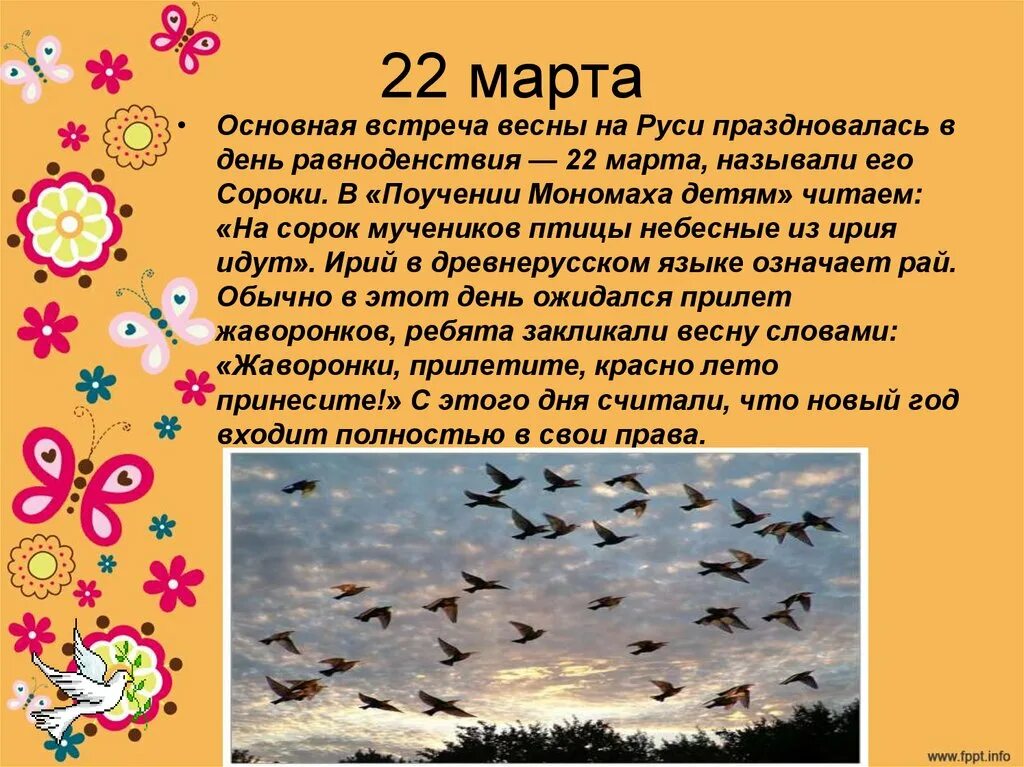 День равноденствия стихи. Встреча весны Жаворонки. Сороки день весеннего равноденствия.