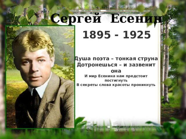 Чувство языка. Стихи о поэзии. Есенин. Поэт тонких чувств. Поэт тонких чувств.