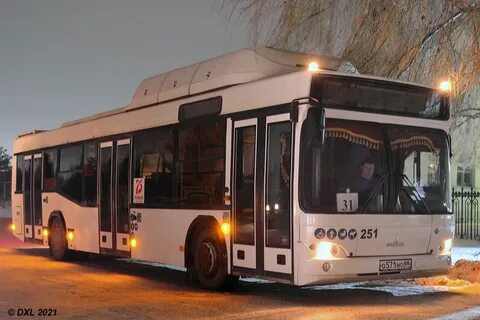 251 автобус спб