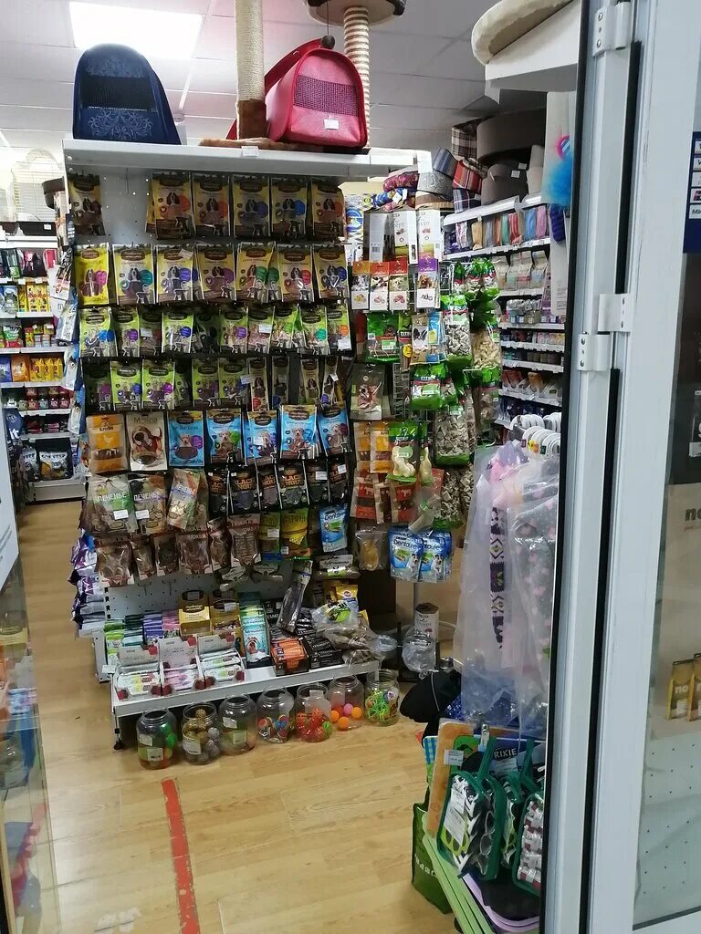 зоомагазин пушистик. зоомагазин пушистик. зоомагазин мегион. зоомагазин пушистики. зоосеть казань.