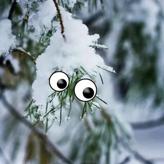 Прикольные зимние картинки для поднятия