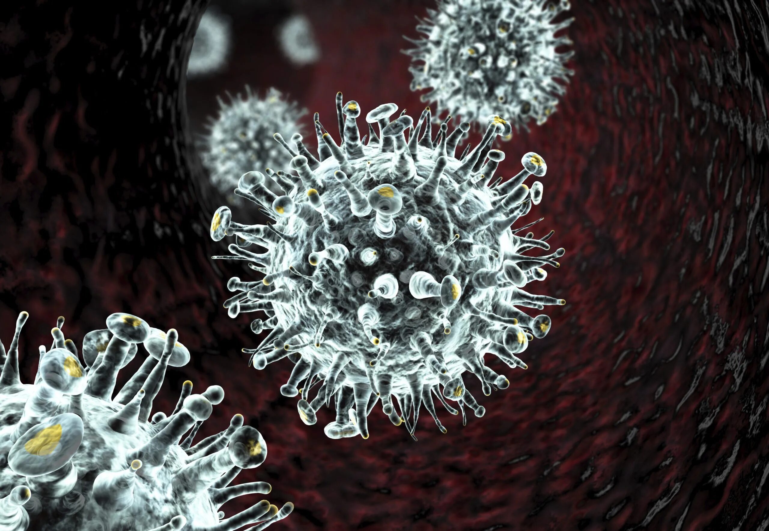Вирус гриппа. Вирус ОРВИ. Вирусы под микроскопом. Вирусы фото. Биология 8 вирусы