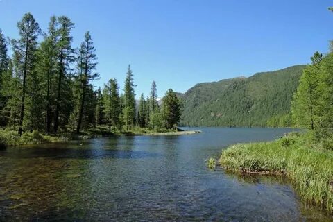 Водные объекты в лесном фонде