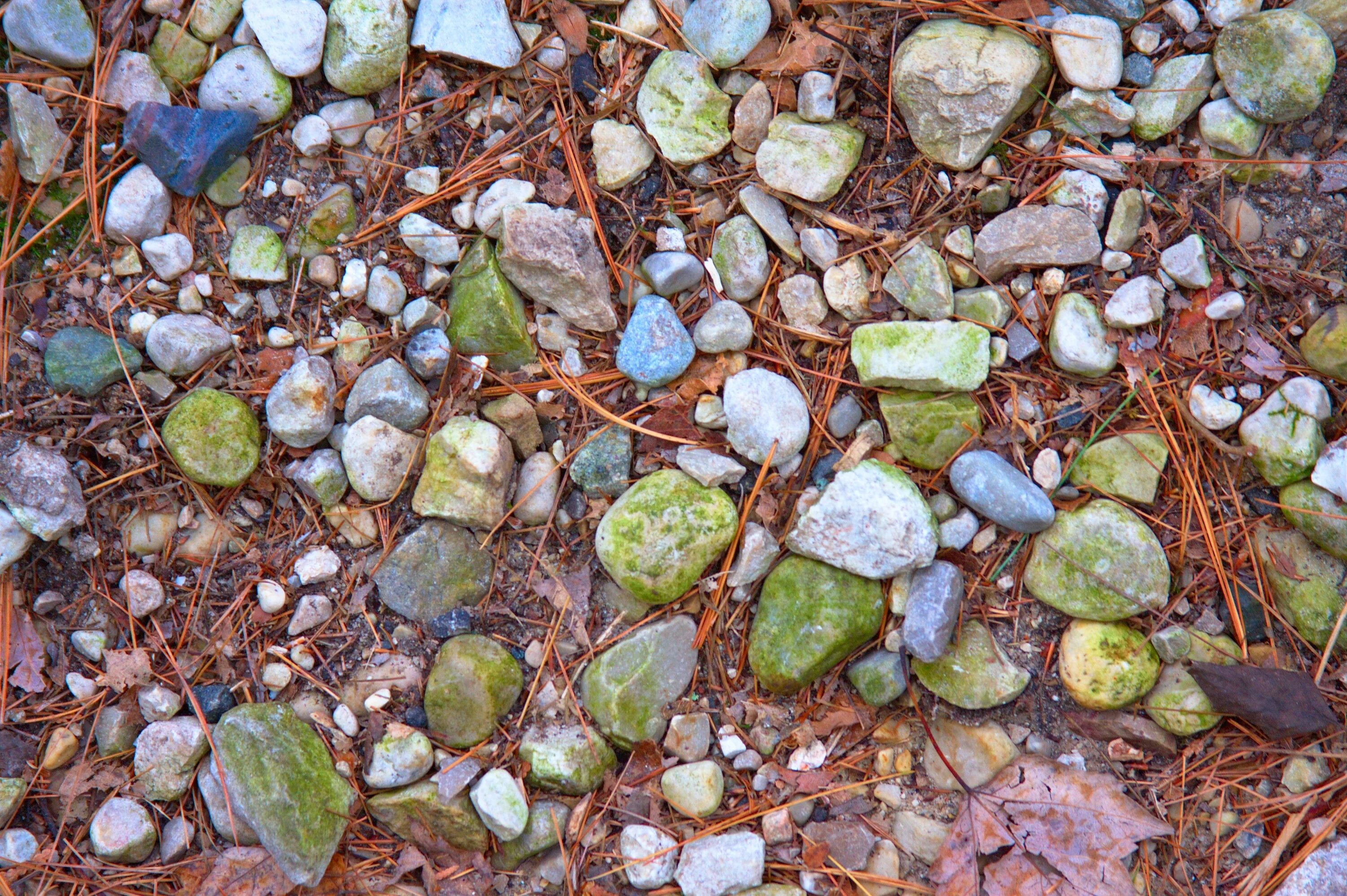 Ground stone. Каменистая почва. Камни на земле. Галечная почва. Камешки на земле.