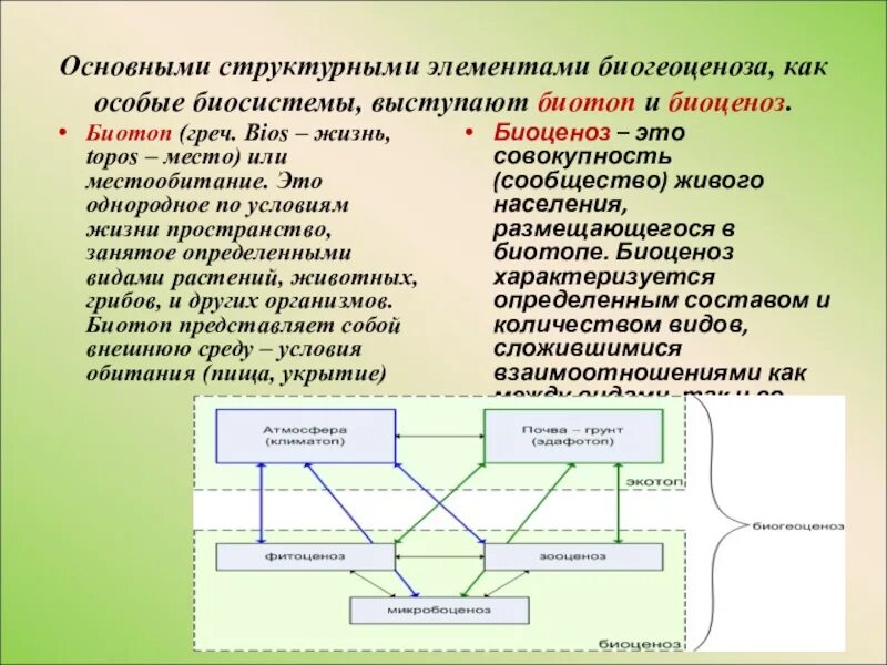 Основные структурные компоненты биогеоценоза. Основы структурные компоненты экосистемы. Структура экосистемы пространственная видовая экологическая. Основные структурные элементы биогеоценоза. Структура биогеоценоза схема.