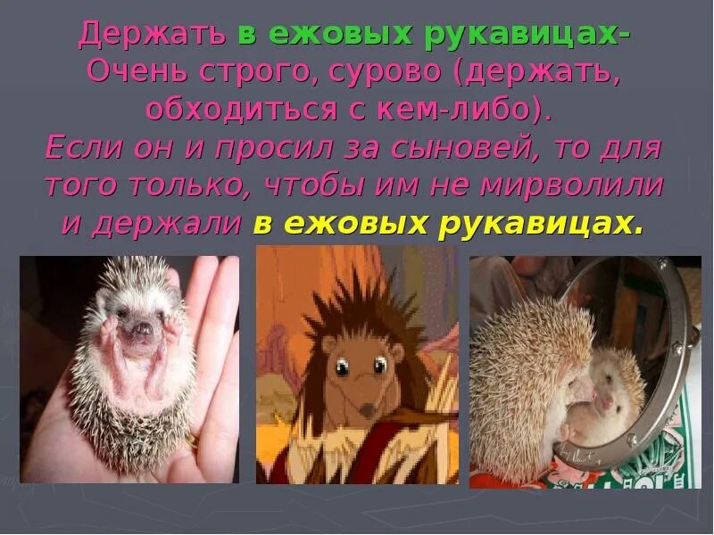 Фразеологизмы в картинках. Ежовые рукавицы. Держать в ежовых рукавицах фразеологизм. Ежовые рукавицы это фразеологизм. Ежовы рукавицы любовь.