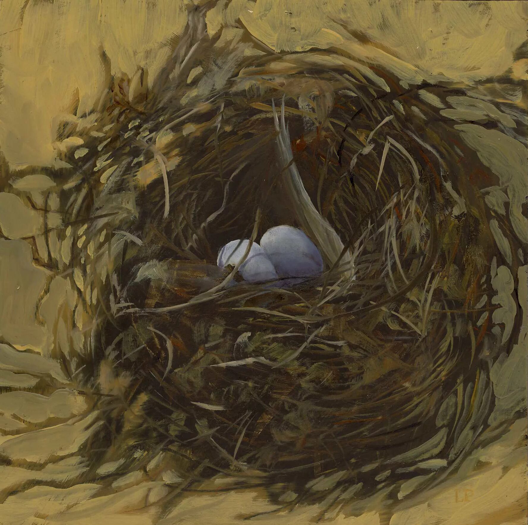 К чему снится куриное гнездо. Птица свила гнездо толстой. Ван Гог гнездо. Ван Гог «птичьи гнезда», 1885 год.. Гнездо гандарков.