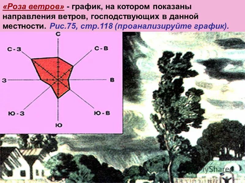 Какое направление ветра преобладало