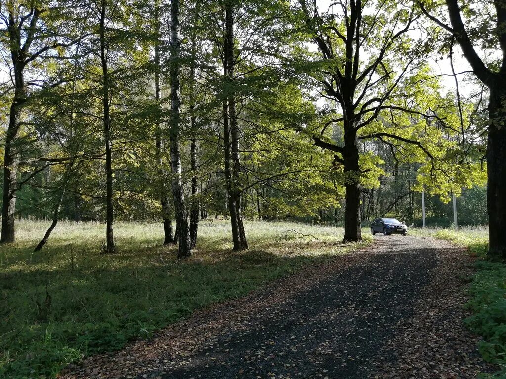 кп сеченка парк. деревня барыбино. домодедово деревня гальчино сити-. кп сеченка парк раменский район. кп барыбино.