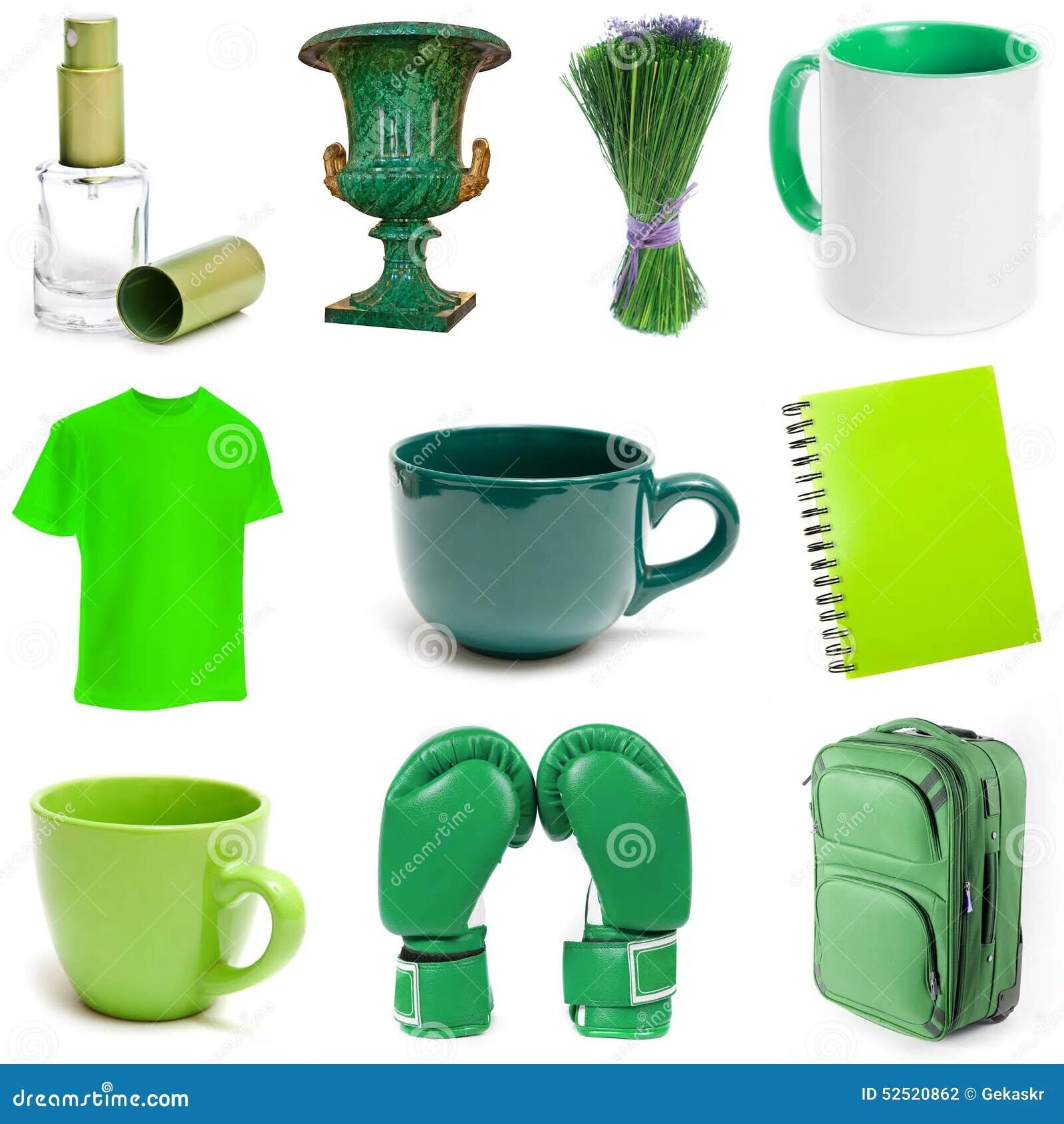 5 предметов зеленого цвета. Зеленые предметы. Предметы зеленого цвета. Предметы салатового цвета. Предметы зеленого цвета для детей.