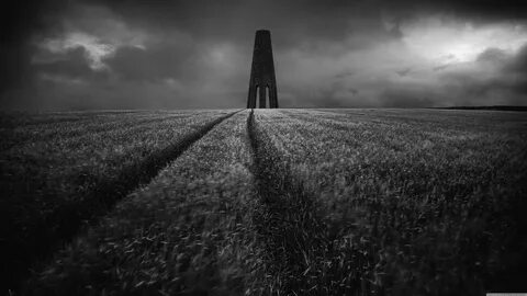 Field black