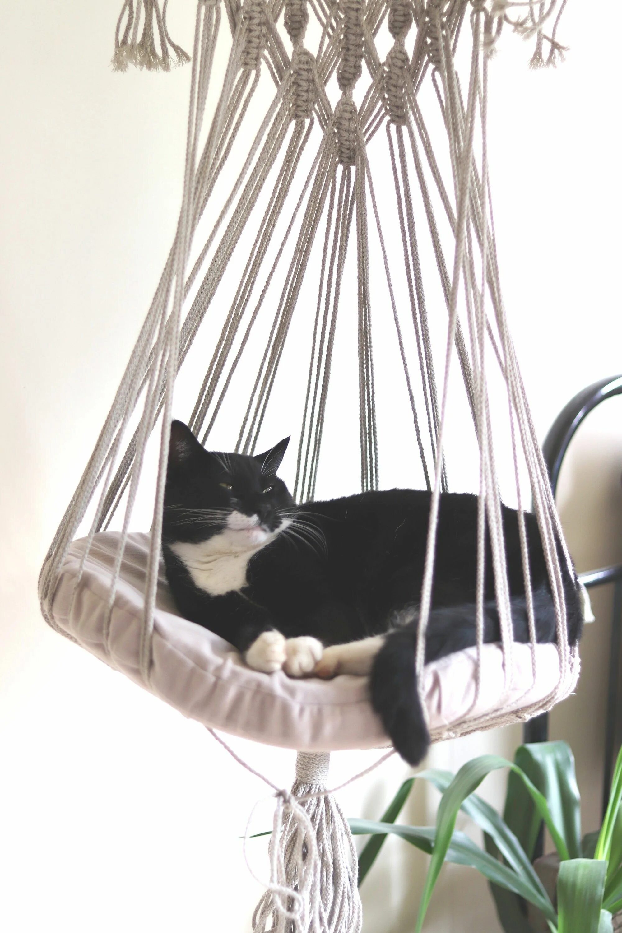 Макраме кот. Кошачий гамак. гамак для кота. гамак для кота макраме. гамак для котов в стиле макраме.