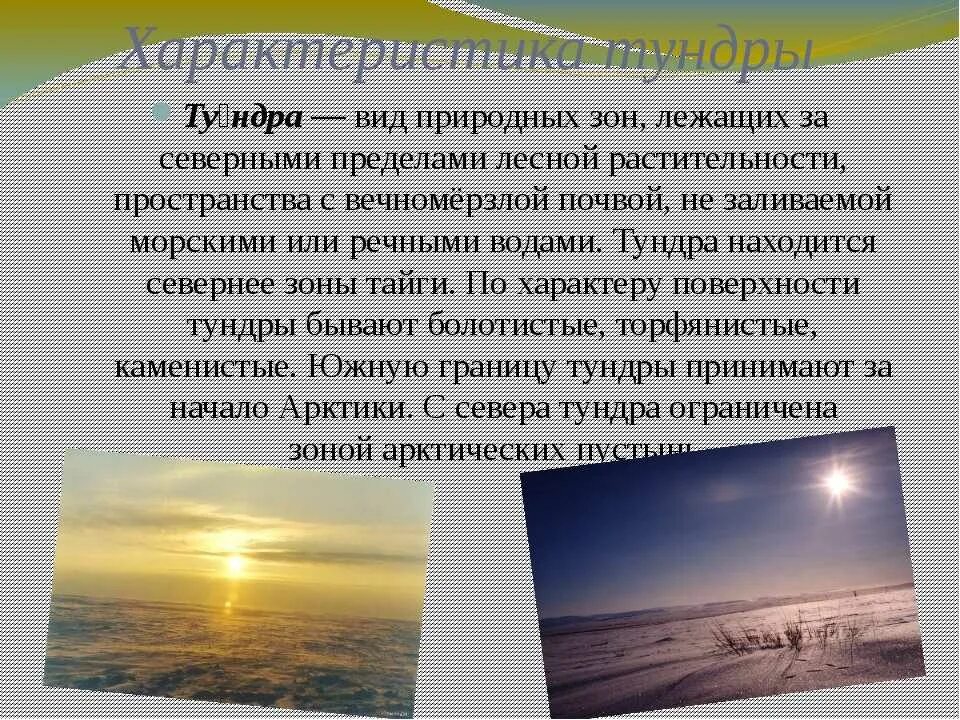 Характеристика тундры в россии. Природная зона тундра климат. Тундра характеристика природной зоны. Описание тундры. Описание зоны тундры.