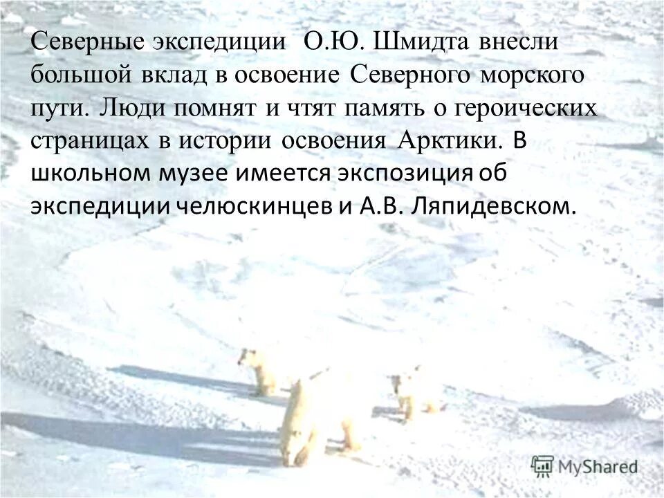 Сообщение исследование арктики. История освоения арктики. северная экспедиция. освоение арктики. освоение северного морского пути.