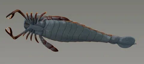 Морской скорпион