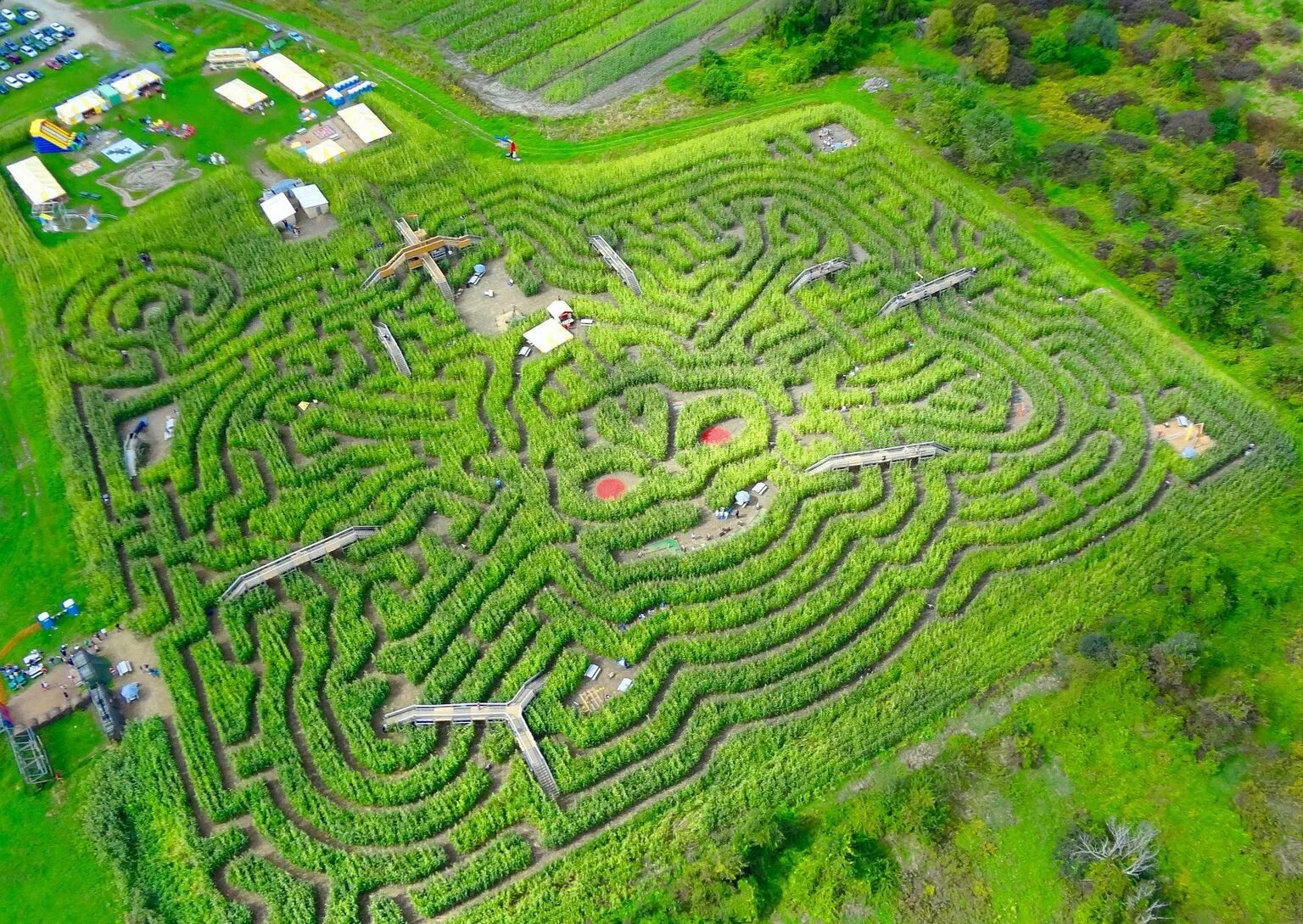Где находится лабиринт. Лабиринт davis&#039; mega maze. лабиринт усадьбы лонглит. лабиринт лонглита в великобритании. longleat hedge, англия.