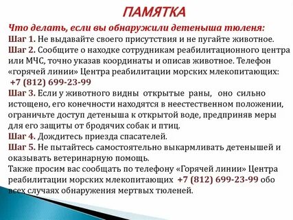 Памятки 8 класс
