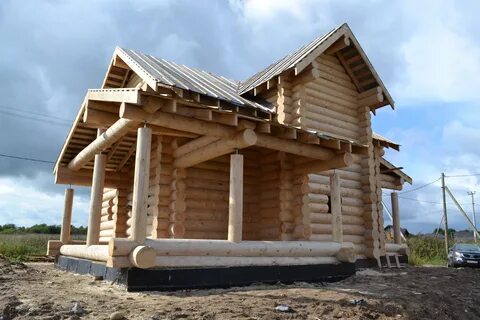 Сямженский лес