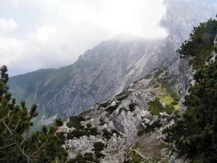 Гор проси