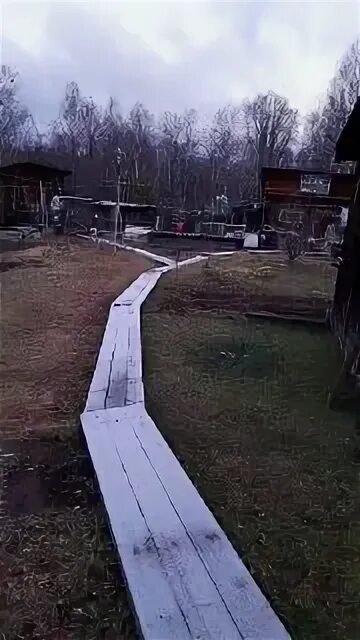 Ночью в березовке. Ночью в березовке