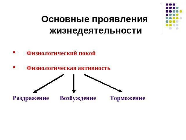 В состоянии относительного физиологического покоя