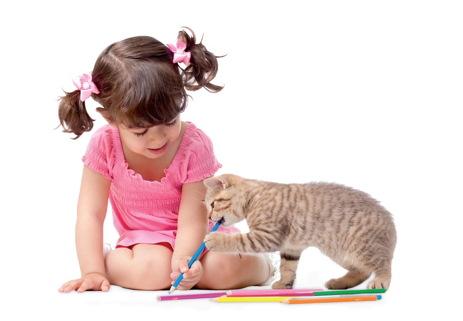 Котенок играет малыша. Девочка играет с котенком. Девушка с котенком играется. Ребенок играет с кошкой. Котенок играет.