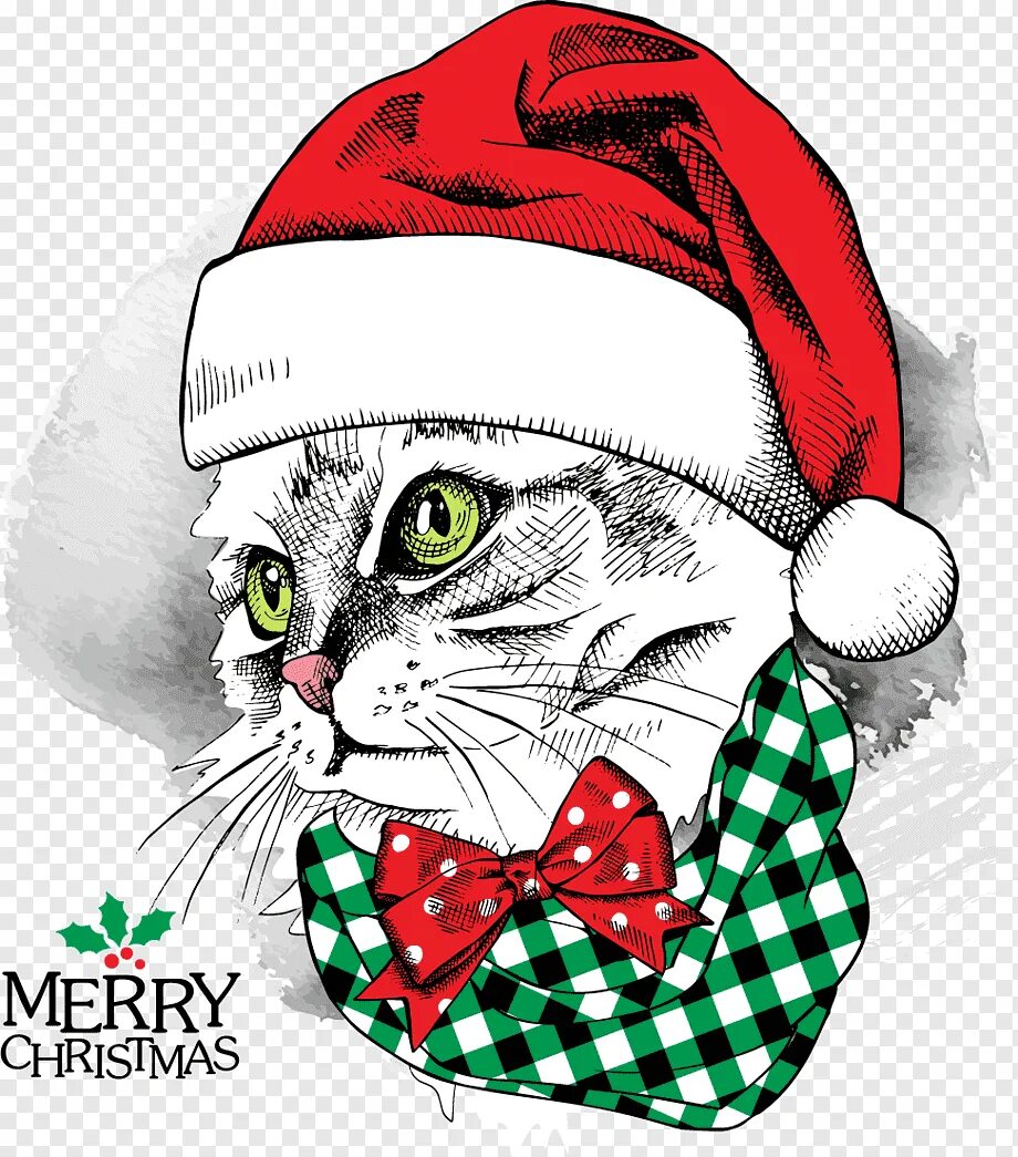 Котик в новогодней шапке рисунок. Котик в новогодней шапочке. кот в новогодней шапке. котик в новогодней шапке. котик в новогодней шапошапочке.