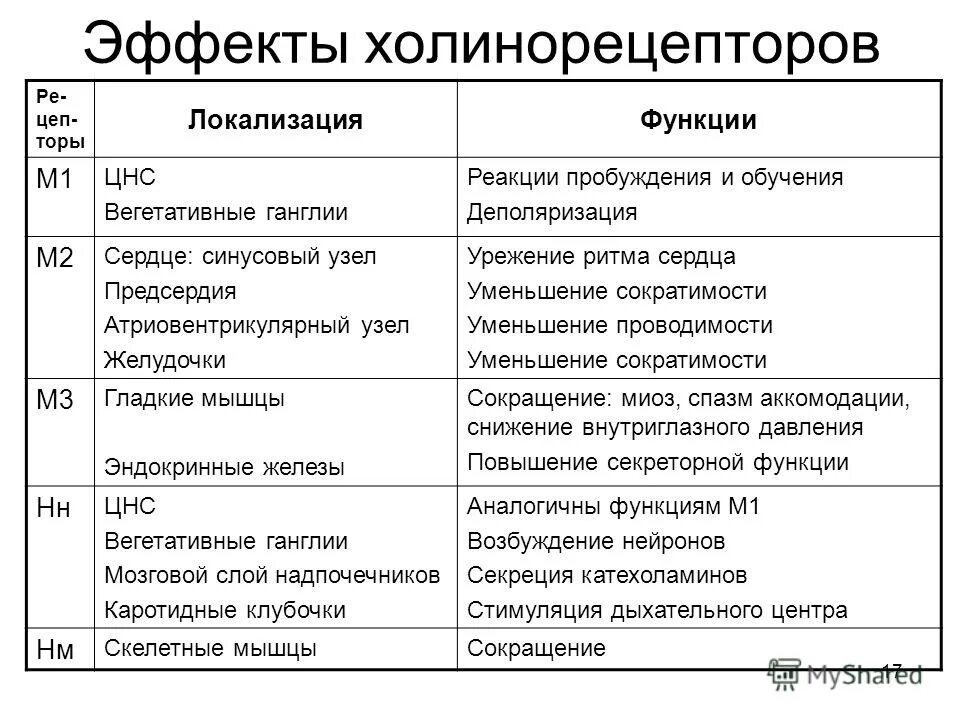 Эффекты холинорецепторов. Локализация м2 и м3 холинорецепторов. Локализация м1 холинорецепторов. Рецепторы м холинорецепторов и функции. М3 холинорецепторы эффекты.