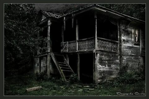 В глухой чаще старого мрачного