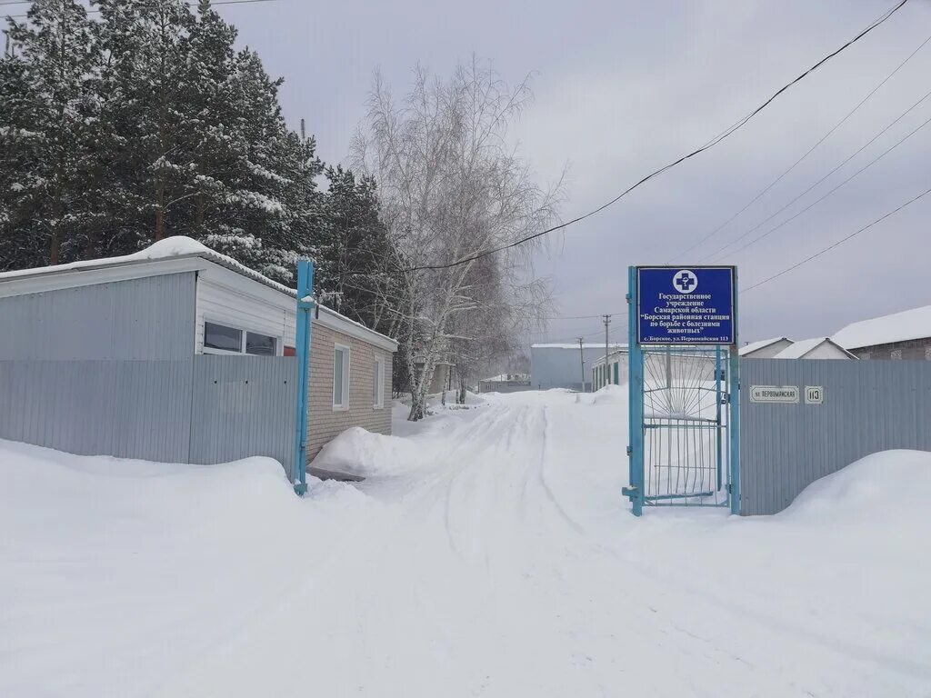 дачная 13 ветеринарная клиника. сббж «магаданская». прививание животных в приюте. вет. сббж гатчинского района.