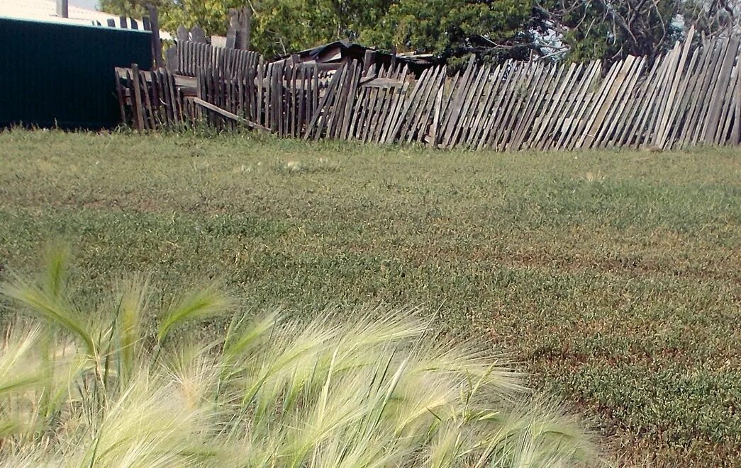 Погода одесская обл. Село желанное Омская область. Желанное Одесский район. Село желанное Одесского района. Село желанное Одесского района Омской области.