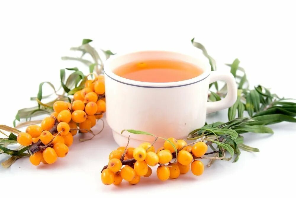 Облепиха пить чай. Sea Buckthorn облепиха что это. Sea Buckthorn чай с облепихой. Облепиховый пунш. Чай облепиховый пунш.