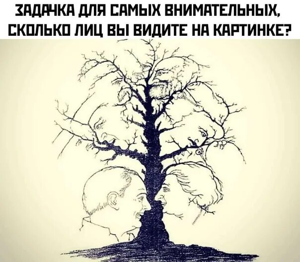 Сколько видите на картинке. Сколько лиц вы видите на картинке. Сколько лиц вы видите на дереве ответ. Сколько лиц на картинке дерево. Сколько лиц вы видите на картинке с деревом.