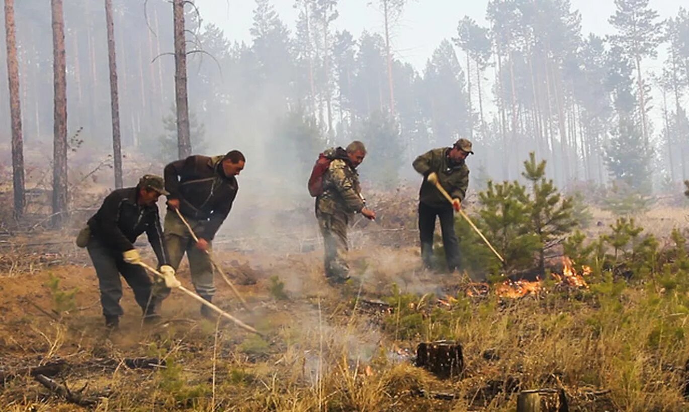 лесной пожар авиалесоохрана. лесные пожары в якутии 2023. низовой беглый лесной пожар. лесные пожары в пермском крае. тушение лесных пожаров добровольцы.