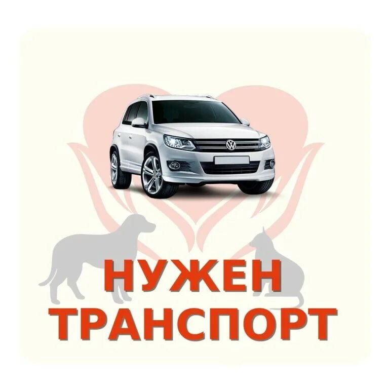 Нужна машина новосибирск. Нужна помощь машиной. Нужные машины. Авто напрокат новосибирск. Отогрев авто реклама.