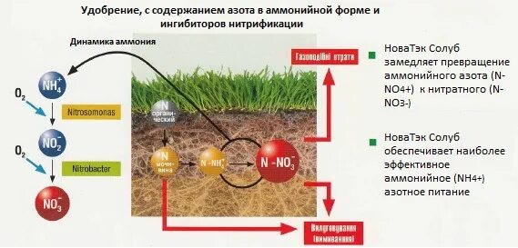 Ингибиторы растений