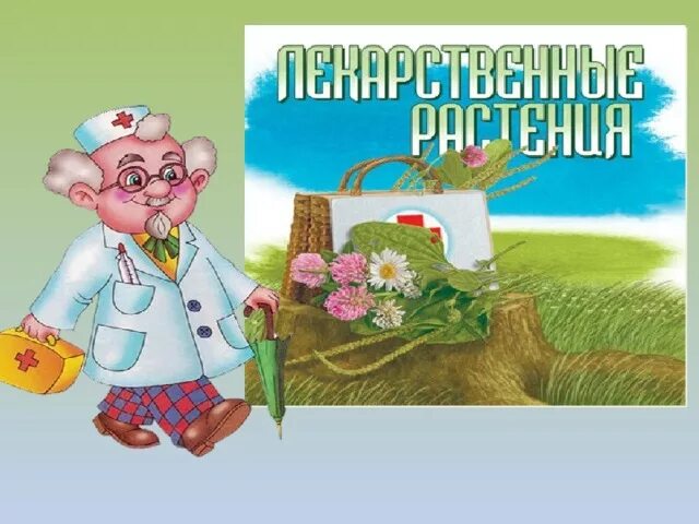 Растения в домашней аптечке. Лекарственные растения домашней аптечки. Лекарственные растения в домашней аптечке 2 класс. Лекарственные травы в домашней аптечке. Растения в домашней аптечке 2