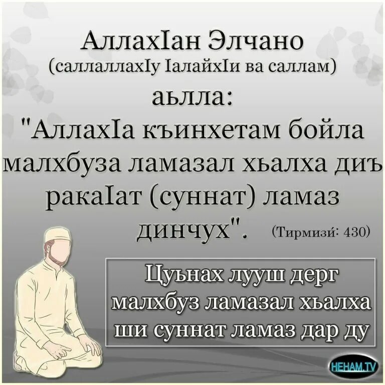 Даром на чеченском. Даром на чеченском. Нохчи. Даром на чеченском. Нохчи.