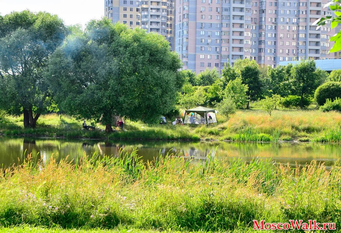 Черневский пруд Бутово. Южное Бутово пруд. Пруд в Бутово Бунинская аллея. Южное Бутово парк Черневский пруд. Шашлык бутово