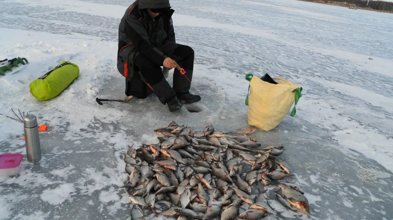 Вазузское водохранилище рыбалка. Вазуза водохранилище. Вазузское водохранилище зимняя рыбалка. Рыбалка на Вазузе зимой. Можно ли рыбачить на водохранилище