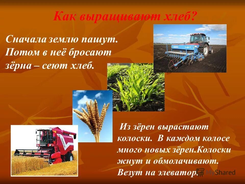 Связь поколений выводы. Рассказывающие о том как получают. Откуда к нам хлеб пришел. Как делают шерстяные вещи окружающий. Изделия из шерсти окружающий.